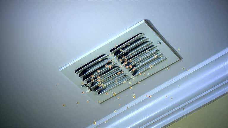 Air Duct Mold Removal in AZ