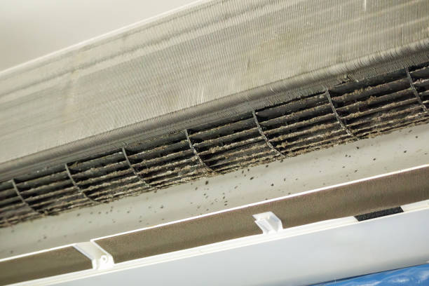 Best Air Vent Cleaning Services  in Leupp, AZ